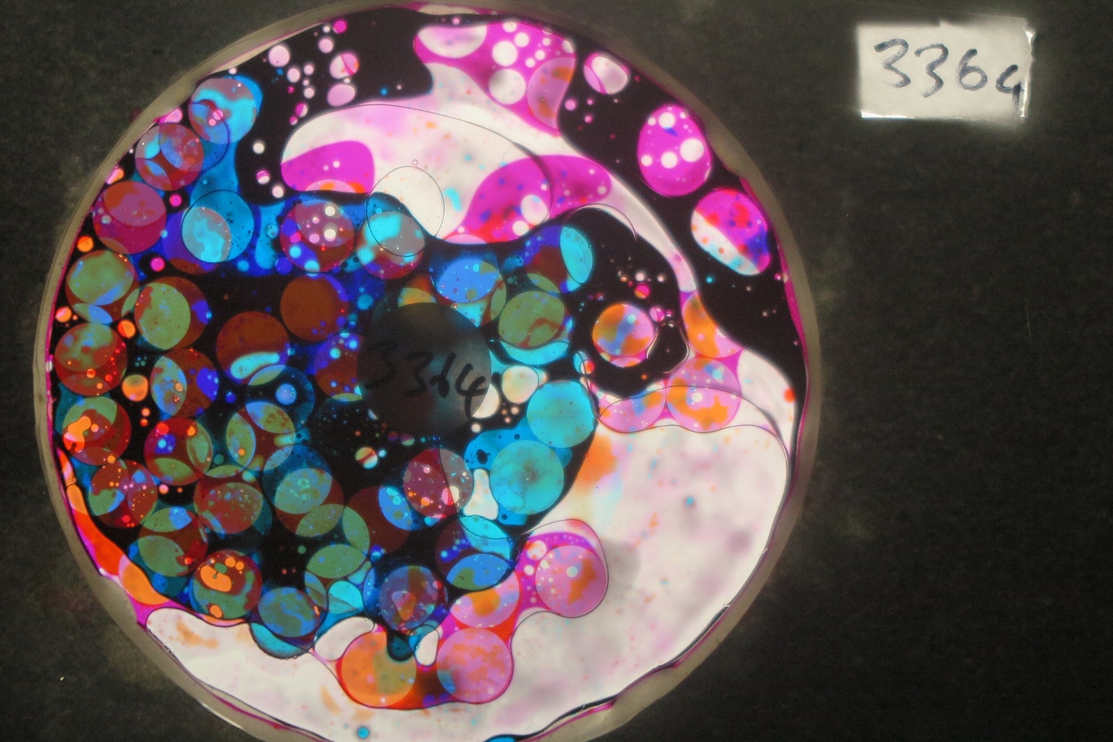 BV3364 bubble vision oil wheel